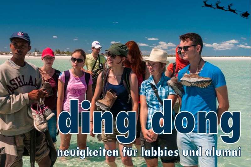 tl_files/lab_alumni/bilder/netzwerk/Newsletter1.jpg